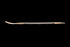 Rocket - Classic Scout 32” - Enjoy 20% off upon purchase of a board now or before!